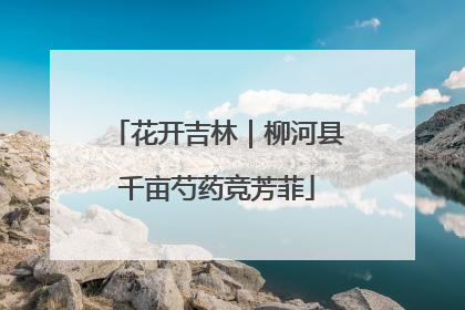 花开吉林｜柳河县千亩芍药竞芳菲