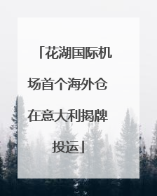花湖国际机场首个海外仓在意大利揭牌投运