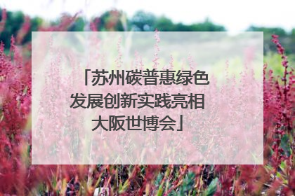苏州碳普惠绿色发展创新实践亮相大阪世博会