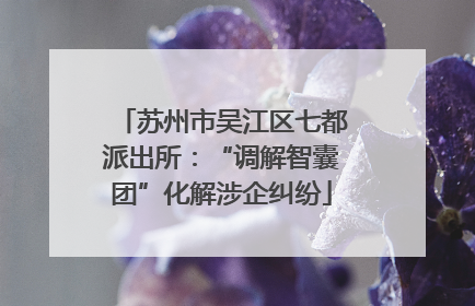 苏州市吴江区七都派出所：“调解智囊团”化解涉企纠纷