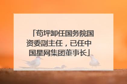苟坪卸任国务院国资委副主任，已任中国星网集团董事长