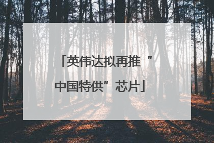 英伟达拟再推“中国特供”芯片
