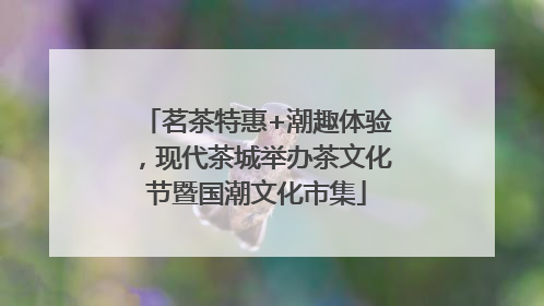 茗茶特惠+潮趣体验，现代茶城举办茶文化节暨国潮文化市集