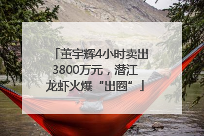 董宇辉4小时卖出3800万元，潜江龙虾火爆“出圈”