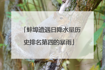 蚌埠遭遇日降水量历史排名第四的暴雨