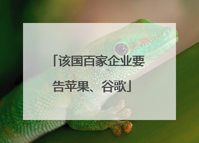 该国百家企业要告苹果、谷歌