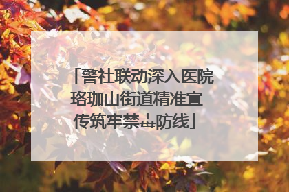 警社联动深入医院 珞珈山街道精准宣传筑牢禁毒防线