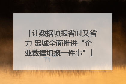 让数据填报省时又省力 禹城全面推进“企业数据填报一件事”