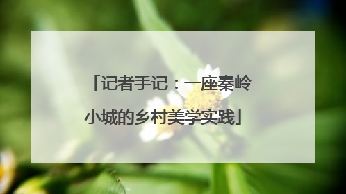 记者手记：一座秦岭小城的乡村美学实践