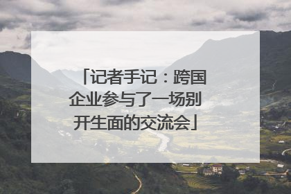 记者手记：跨国企业参与了一场别开生面的交流会