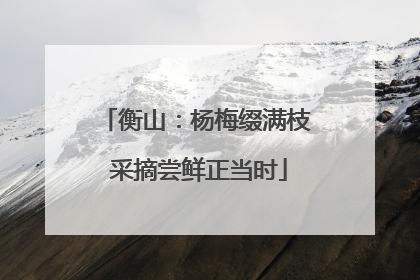 衡山：杨梅缀满枝 采摘尝鲜正当时
