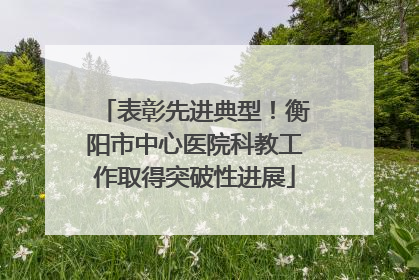 表彰先进典型！衡阳市中心医院科教工作取得突破性进展