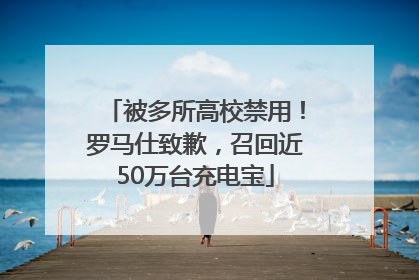 被多所高校禁用！罗马仕致歉，召回近50万台充电宝