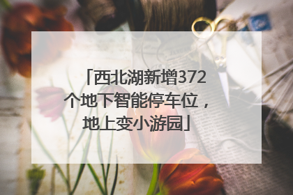 西北湖新增372个地下智能停车位，地上变小游园