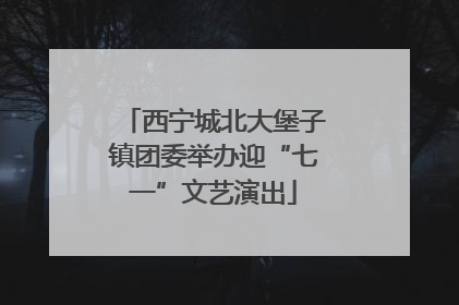 西宁城北大堡子镇团委举办迎“七一”文艺演出