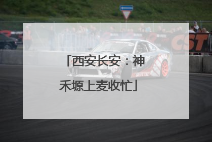 西安长安：神禾塬上麦收忙