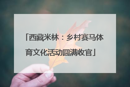 西藏米林：乡村赛马体育文化活动圆满收官