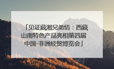 见证藏湘兄弟情：西藏山南特色产品亮相第四届中国-非洲经贸博览会