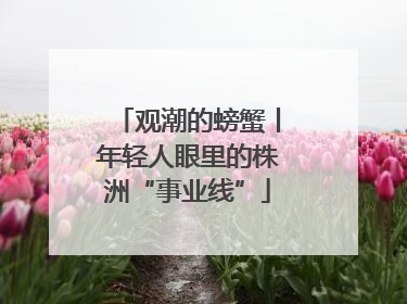 观潮的螃蟹丨年轻人眼里的株洲“事业线”