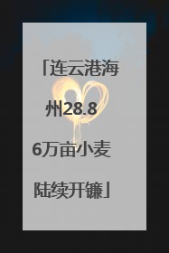 连云港海州28.86万亩小麦陆续开镰