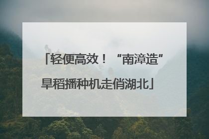 轻便高效！“南漳造”旱稻播种机走俏湖北