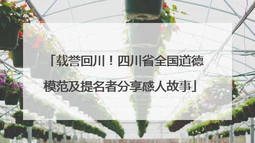 载誉回川！四川省全国道德模范及提名者分享感人故事