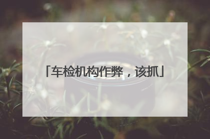 车检机构作弊，该抓