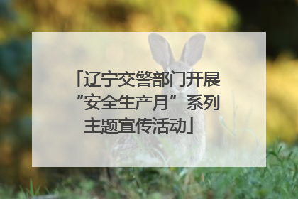 辽宁交警部门开展“安全生产月”系列主题宣传活动
