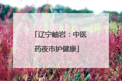 辽宁岫岩：中医药夜市护健康