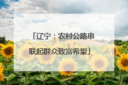 辽宁：农村公路串联起群众致富希望
