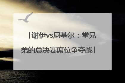 谢伊vs尼基尔：堂兄弟的总决赛席位争夺战