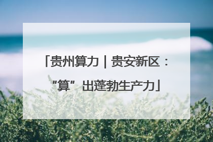 贵州算力｜贵安新区：“算”出蓬勃生产力