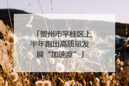 贺州市平桂区上半年跑出高质量发展“加速度”