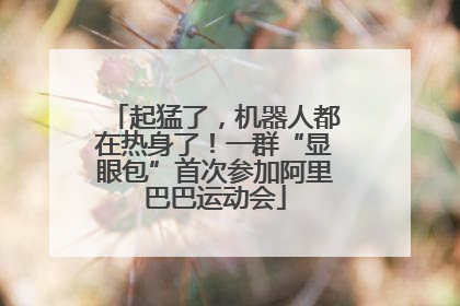 起猛了，机器人都在热身了！一群“显眼包”首次参加阿里巴巴运动会