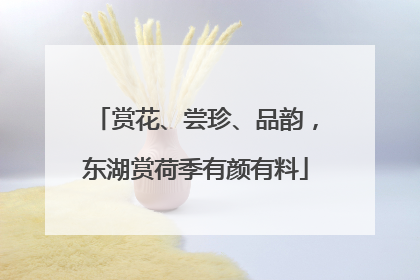 赏花、尝珍、品韵，东湖赏荷季有颜有料