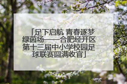 足下启航 青春逐梦绿茵场——合肥经开区第十三届中小学校园足球联赛圆满收官