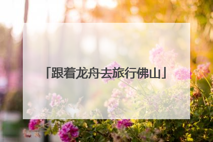 跟着龙舟去旅行佛山