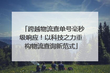 跨越物流查单号毫秒级响应！以科技之力重构物流查询新范式