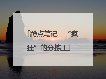 蹲点笔记｜“疯狂”的分拣工