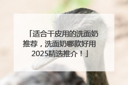 适合干皮用的洗面奶推荐，洗面奶哪款好用2025精选推介！