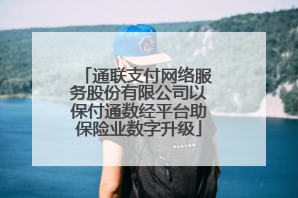 通联支付网络服务股份有限公司以保付通数经平台助保险业数字升级