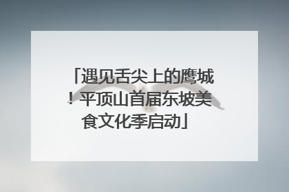 遇见舌尖上的鹰城！平顶山首届东坡美食文化季启动