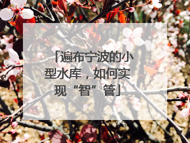 遍布宁波的小型水库，如何实现“智”管