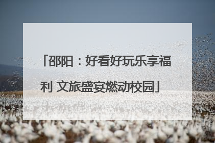 邵阳：好看好玩乐享福利 文旅盛宴燃动校园
