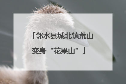 邻水县城北镇荒山变身“花果山”
