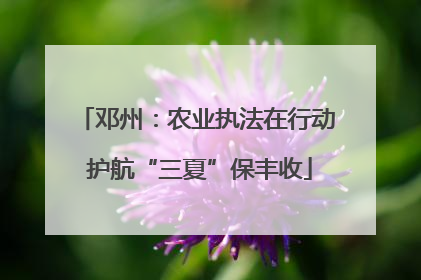 邓州：农业执法在行动 护航“三夏”保丰收