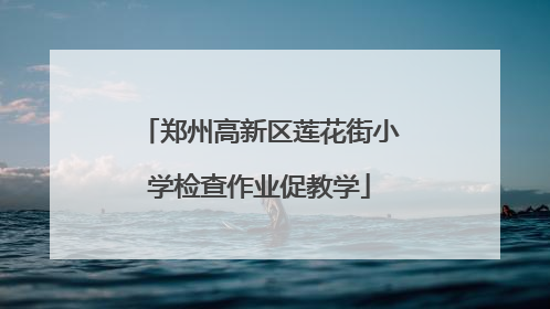 郑州高新区莲花街小学检查作业促教学