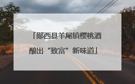 郧西县羊尾镇樱桃酒酿出“致富”新味道