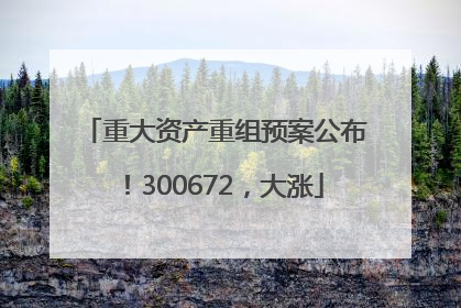 重大资产重组预案公布！300672，大涨
