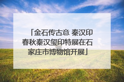金石传古意 秦汉印春秋秦汉玺印特展在石家庄市博物馆开展